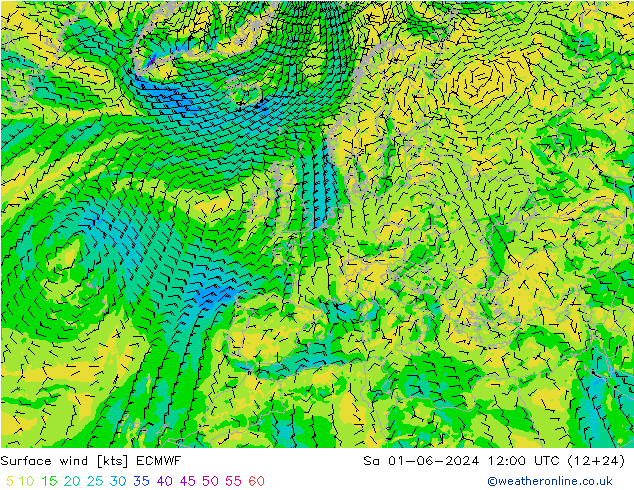 wiatr 10 m ECMWF so. 01.06.2024 12 UTC