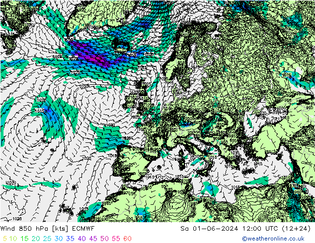 wiatr 850 hPa ECMWF so. 01.06.2024 12 UTC