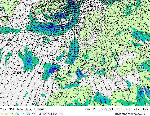 ветер 950 гПа ECMWF сб 01.06.2024 00 UTC