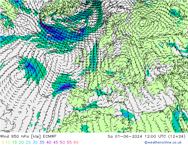 Rüzgar 950 hPa ECMWF Cts 01.06.2024 12 UTC