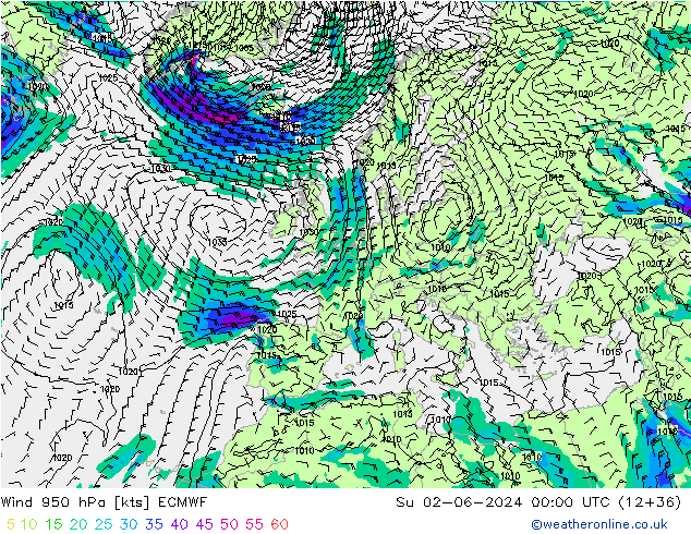 wiatr 950 hPa ECMWF nie. 02.06.2024 00 UTC