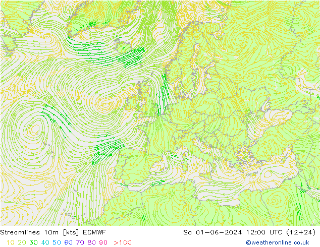 Streamlines 10m ECMWF Sa 01.06.2024 12 UTC