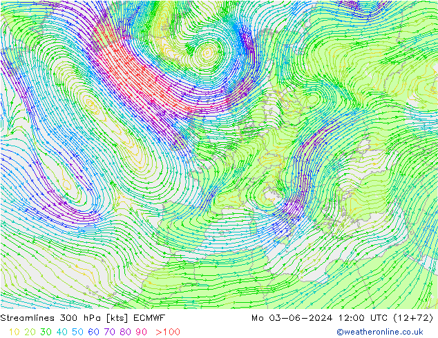 Streamlines 300 hPa ECMWF Mo 03.06.2024 12 UTC