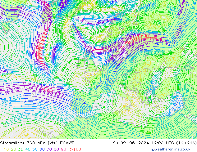 Streamlines 300 hPa ECMWF Su 09.06.2024 12 UTC