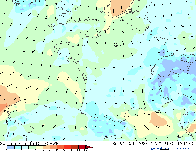 Surface wind (bft) ECMWF Sa 01.06.2024 12 UTC