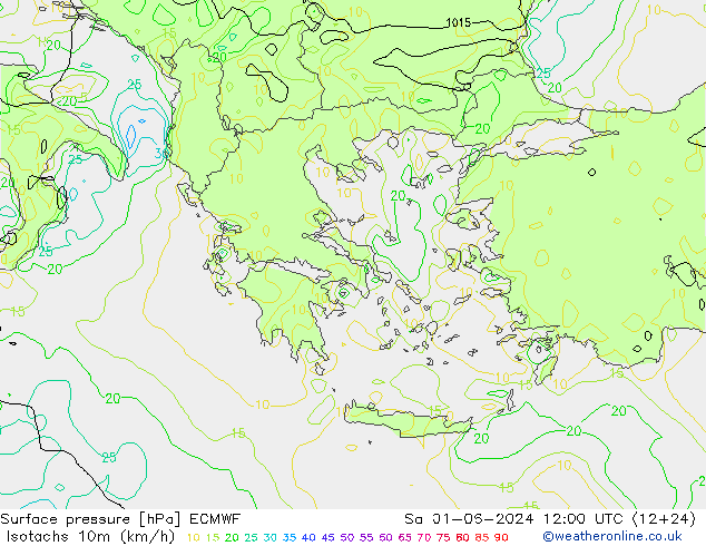 Izotacha (km/godz) ECMWF so. 01.06.2024 12 UTC