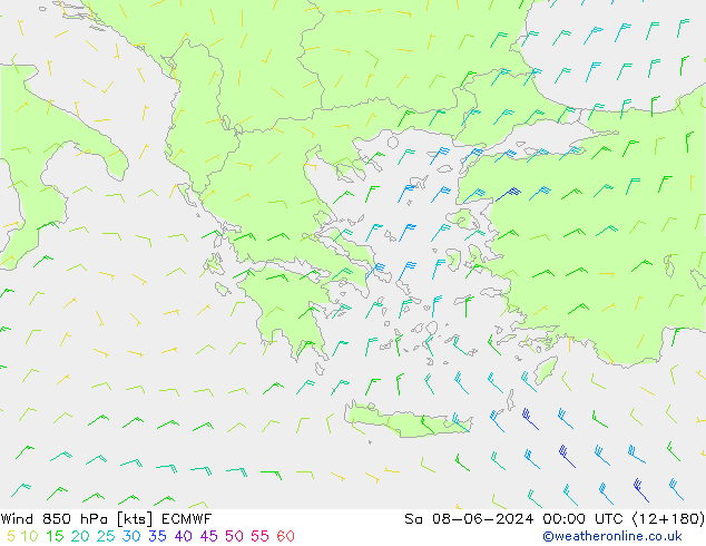  850 hPa ECMWF  08.06.2024 00 UTC