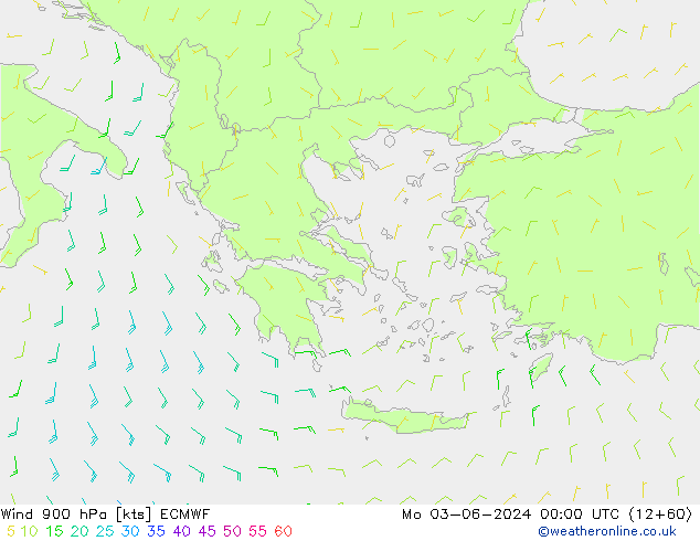 ветер 900 гПа ECMWF пн 03.06.2024 00 UTC