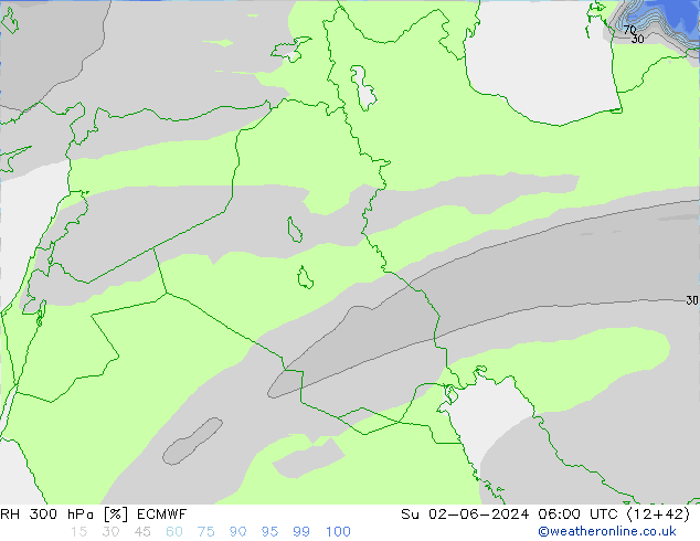 RV 300 hPa ECMWF zo 02.06.2024 06 UTC