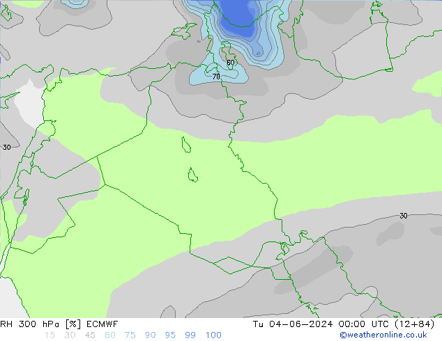 Humedad rel. 300hPa ECMWF mar 04.06.2024 00 UTC