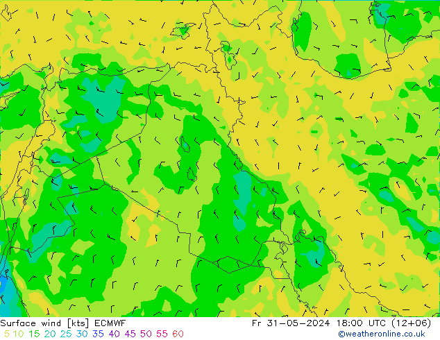 Wind 10 m ECMWF vr 31.05.2024 18 UTC