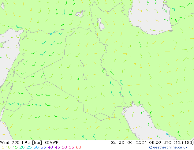 Wind 700 hPa ECMWF So 08.06.2024 06 UTC