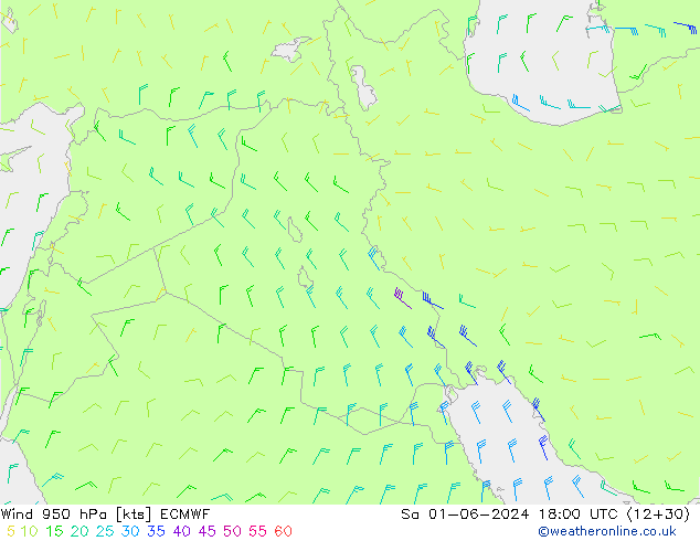 ветер 950 гПа ECMWF сб 01.06.2024 18 UTC