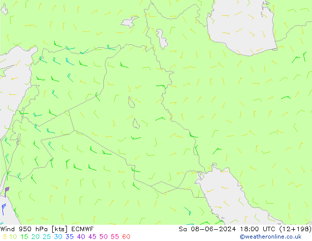 Wind 950 hPa ECMWF za 08.06.2024 18 UTC