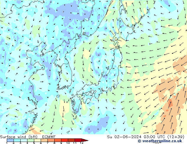 Surface wind (bft) ECMWF Ne 02.06.2024 03 UTC