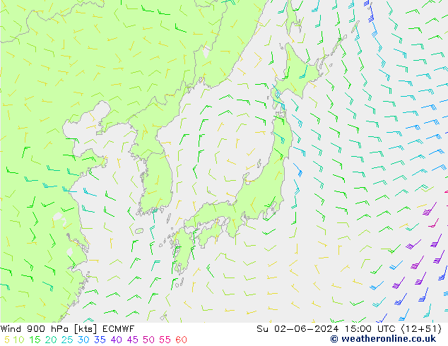 wiatr 900 hPa ECMWF nie. 02.06.2024 15 UTC