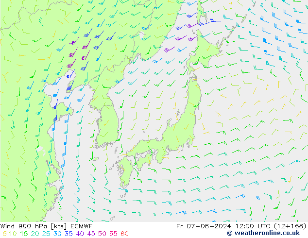 Viento 900 hPa ECMWF vie 07.06.2024 12 UTC