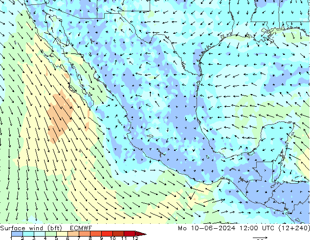 Surface wind (bft) ECMWF Mo 10.06.2024 12 UTC