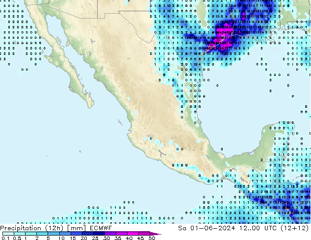 Precipitación (12h) ECMWF sáb 01.06.2024 00 UTC