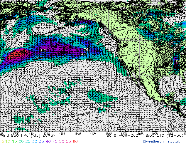 Wind 850 hPa ECMWF Sa 01.06.2024 18 UTC