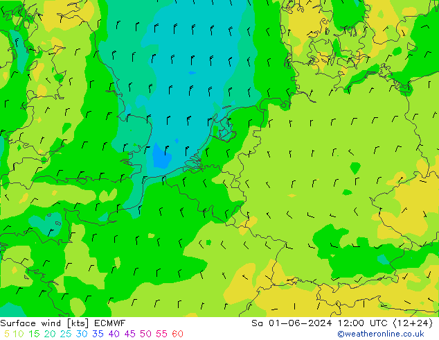 Vento 10 m ECMWF sab 01.06.2024 12 UTC