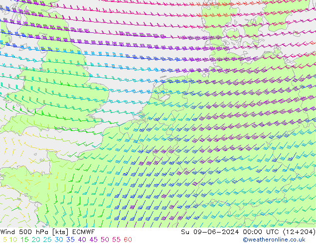 Wind 500 hPa ECMWF Su 09.06.2024 00 UTC