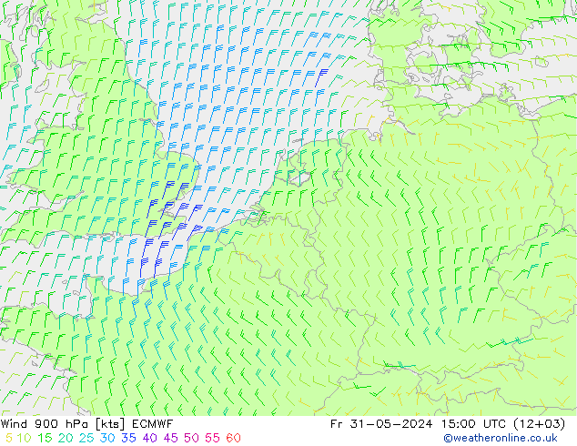 Wind 900 hPa ECMWF Fr 31.05.2024 15 UTC