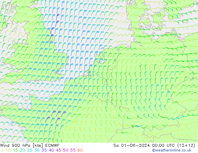 Viento 900 hPa ECMWF sáb 01.06.2024 00 UTC