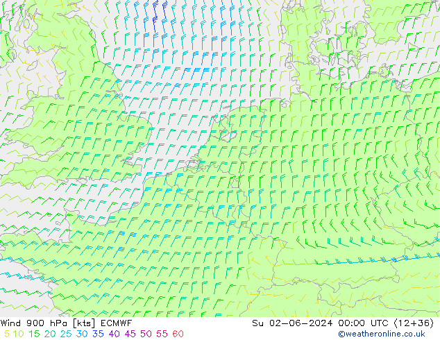 Wind 900 hPa ECMWF Su 02.06.2024 00 UTC