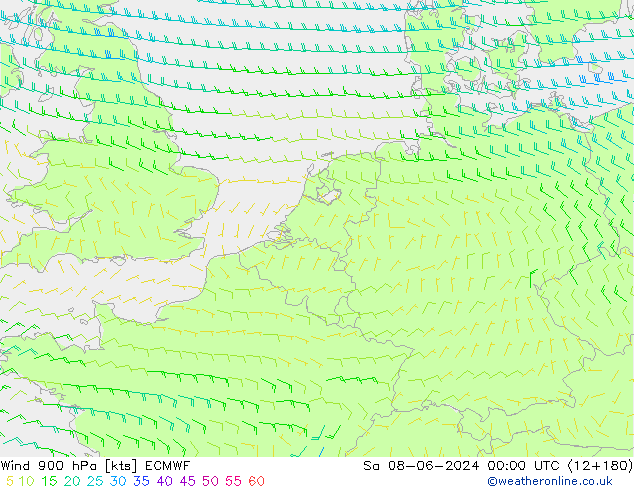  900 hPa ECMWF  08.06.2024 00 UTC