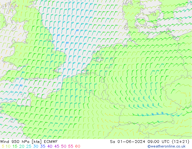 Wind 950 hPa ECMWF Sa 01.06.2024 09 UTC