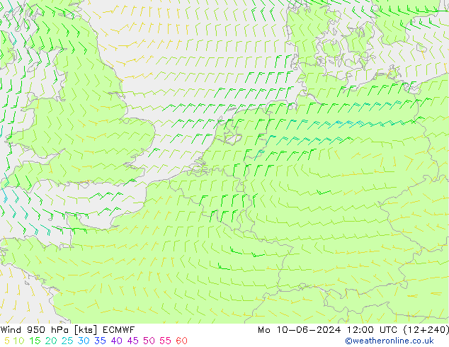 ветер 950 гПа ECMWF пн 10.06.2024 12 UTC