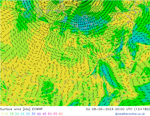 Surface wind ECMWF So 08.06.2024 00 UTC