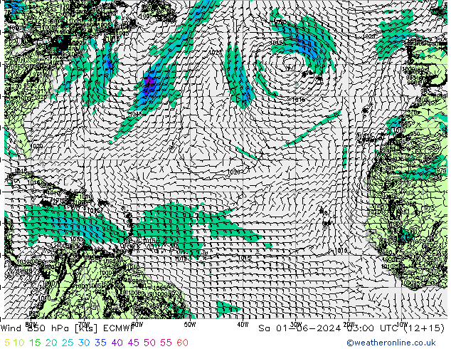  850 hPa ECMWF  01.06.2024 03 UTC