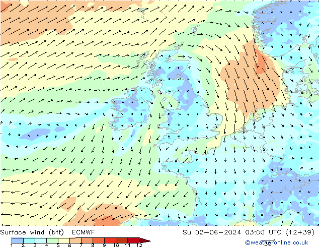 Surface wind (bft) ECMWF Su 02.06.2024 03 UTC
