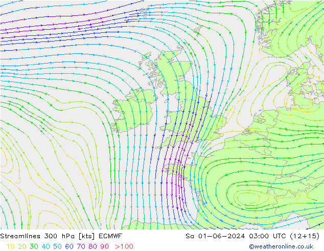 Streamlines 300 hPa ECMWF Sa 01.06.2024 03 UTC