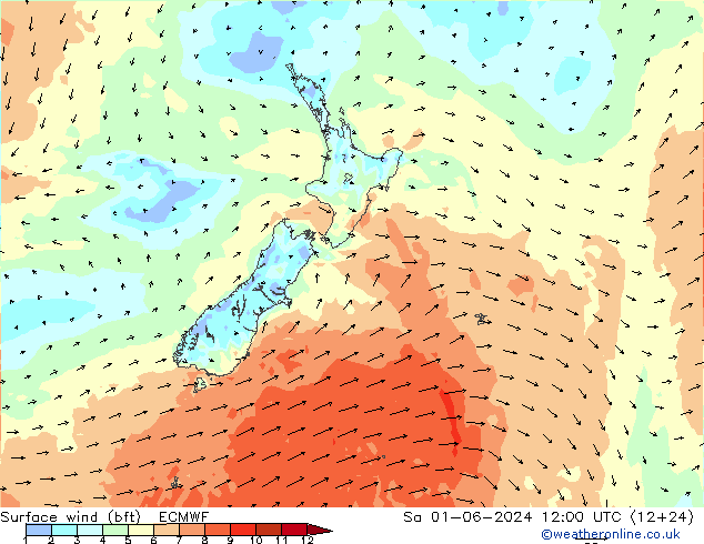 Vento 10 m (bft) ECMWF sab 01.06.2024 12 UTC