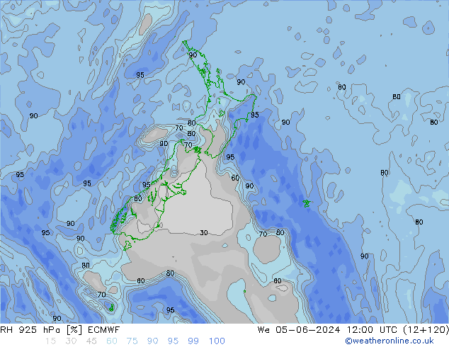 925 hPa Nispi Nem ECMWF Çar 05.06.2024 12 UTC