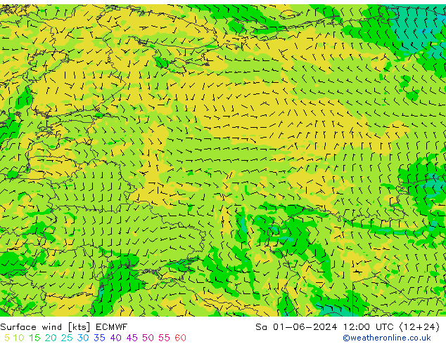 Wind 10 m ECMWF za 01.06.2024 12 UTC
