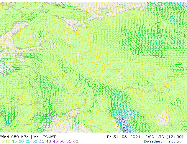 wiatr 950 hPa ECMWF pt. 31.05.2024 12 UTC