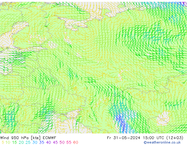 Wind 950 hPa ECMWF Fr 31.05.2024 15 UTC