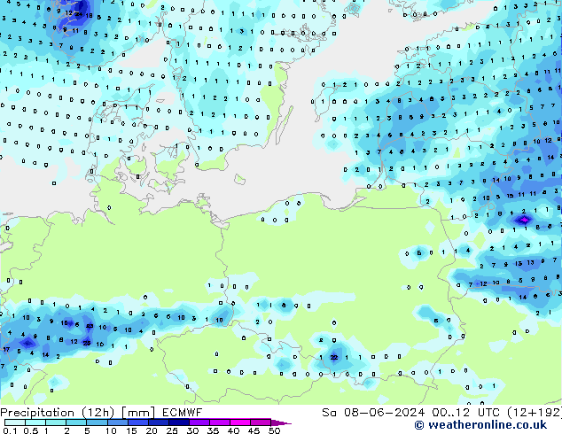 Precipitazione (12h) ECMWF sab 08.06.2024 12 UTC