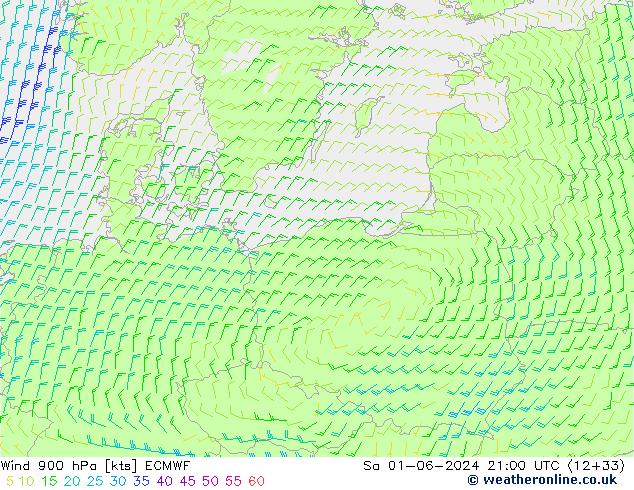 Wind 900 hPa ECMWF za 01.06.2024 21 UTC