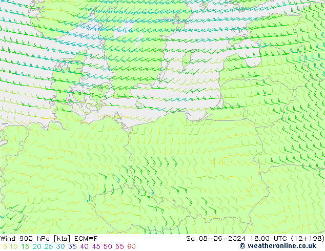 ветер 900 гПа ECMWF сб 08.06.2024 18 UTC