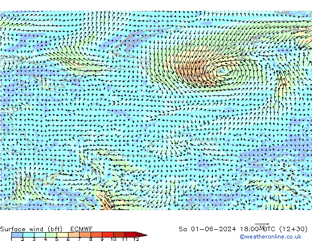 Bodenwind (bft) ECMWF Sa 01.06.2024 18 UTC