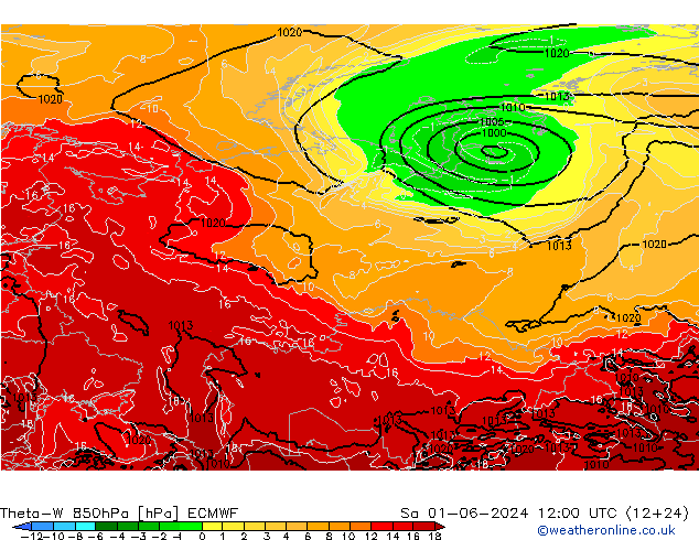 Theta-W 850гПа ECMWF сб 01.06.2024 12 UTC