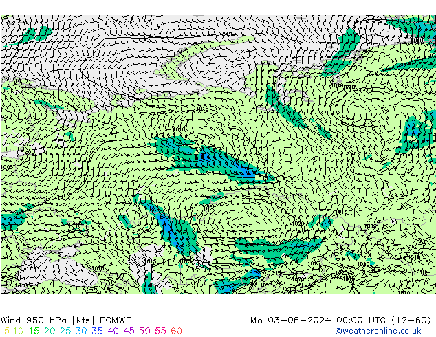 Rüzgar 950 hPa ECMWF Pzt 03.06.2024 00 UTC