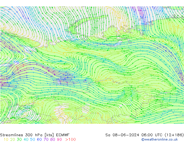 Rüzgar 300 hPa ECMWF Cts 08.06.2024 06 UTC
