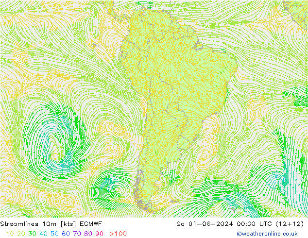 Linea di flusso 10m ECMWF sab 01.06.2024 00 UTC