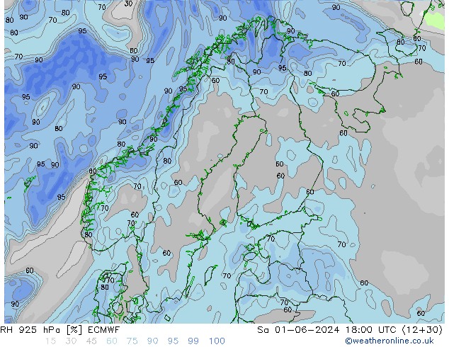 Humedad rel. 925hPa ECMWF sáb 01.06.2024 18 UTC